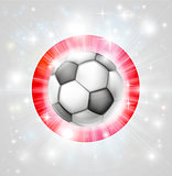 Japan soccer flag