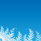 fern on the blue background for text