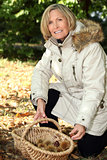 Mature woman picking chestnuts