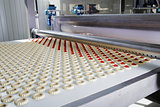 Production of biscuits