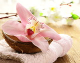 spa concept - pink orchid on a wooden background