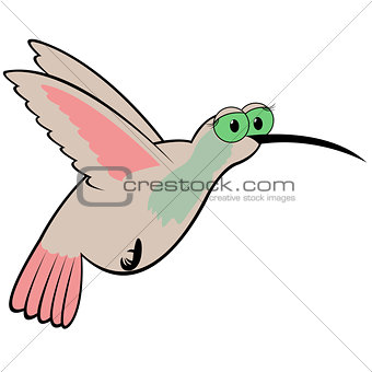 Hummingbird Cartoon Vector Illustration