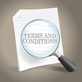 Terms and Conditions Examination