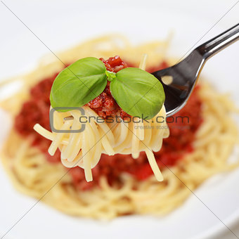 Cooked Spaghetti Bolognese