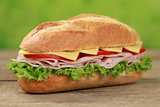 Sub Sandwich with ham