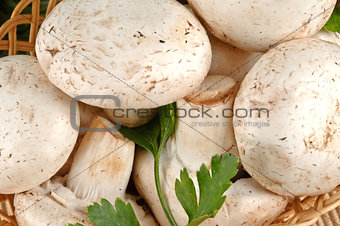 Closeup of tasty fresh white mushrooms in a basket