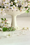 Apple blossom flowers in vase
