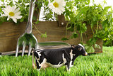 Spring herbs and flowers in the grass with toy cow