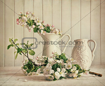 Still life of apple blossom flowers in vase