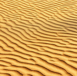 Sand and dunes of the Thar Desert. 