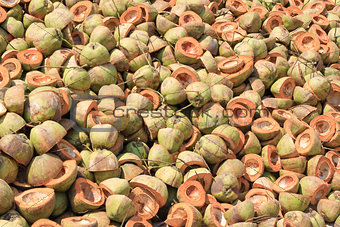 Pile of discarded coconut husks