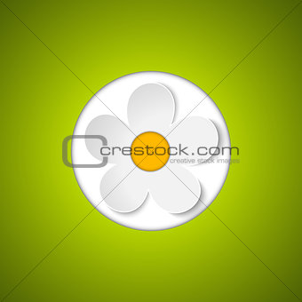 Beautiful Spring Flowers Green Background 