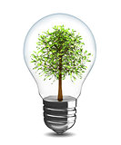 tree in light bulb