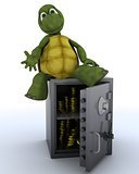 tortoise sat on a safe