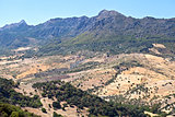 beautiful Andalusian landscape