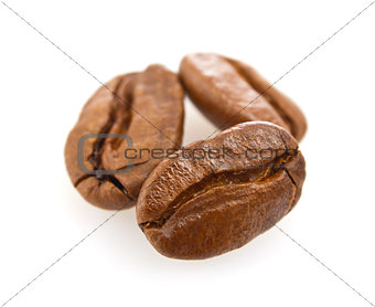coffee seed (macro)