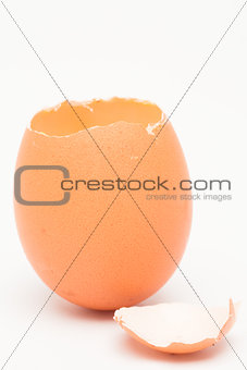 Egg with top of shell broken off