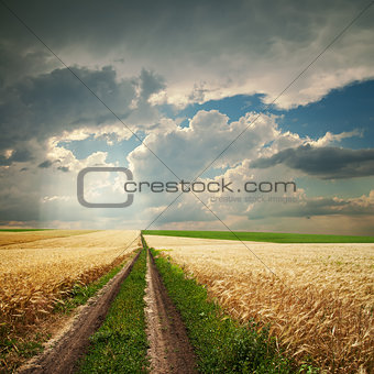 road in golden agricultural field under dramatic clouds
