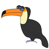 Toucan Cartoon Vector Illustration