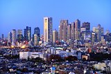 Shinjuku Skyline