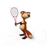 Foxes and tennis
