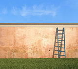 ladder against a grunge wall in a garden 