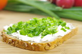  slice of bread with cottage cheese and the vegetables
