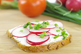  slice of bread with cottage cheese and the vegetables
