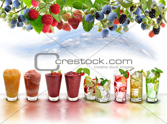 Fruit Drinks Assortment