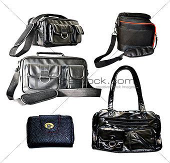 Collection of Leather bags