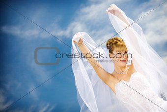bride and veil