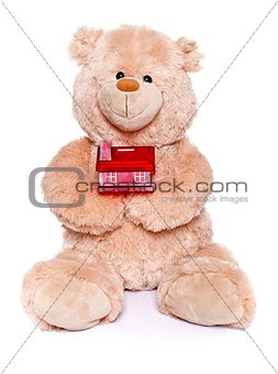 Teddy bear holding miniature house