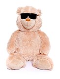 Teddy bear with sunglasses