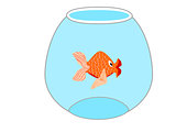 Gold Fish in Bowl