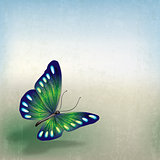 abstract grunge background with butterfly