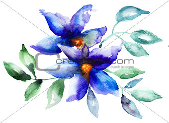 Beautiful Blue flowers