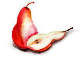 Illustration of pear