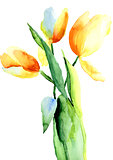 Three yellow Tulips