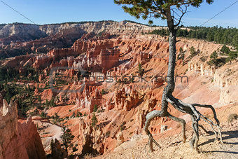Bryce Canyon