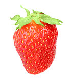 One red berry fresh strawberry
