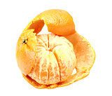One fruit of orange tangerine with skin