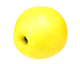 Single a fresh yellow apple