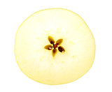 Circle slice of a fresh yellow apple