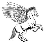 Pegasus illustration