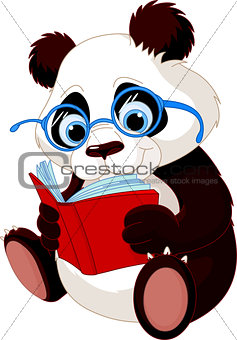 Cute Panda Education