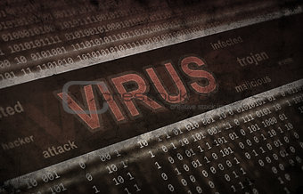computer virus detection. Spyware concept
