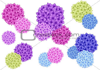 colorful hydrangea flowers, vector set