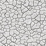 White Cracked Surface Seamless Texture.