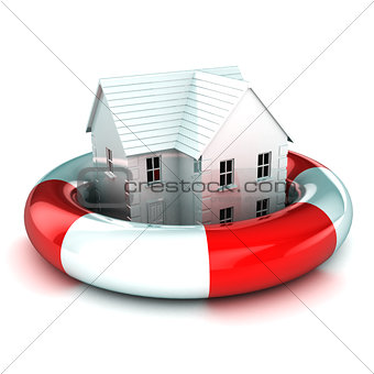 House in a Lifebuoy