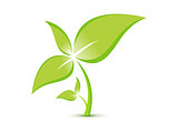 abstract eco plant template 